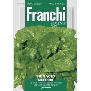 Seminte spanac Matador Franchi Sementi