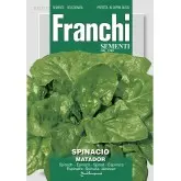 Seminte spanac Matador Franchi Sementi