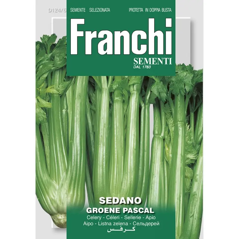 Seminte telina de petiol Groene Pascal Franchi Sementi