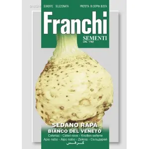 Seminte telina de radacina Bianco del Veneto Franchi Sementi