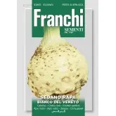 Seminte telina de radacina Bianco del Veneto Franchi Sementi