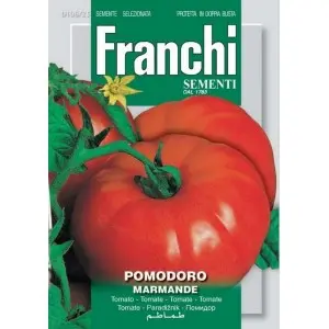 Seminte tomate Marmande Franchi Sementi