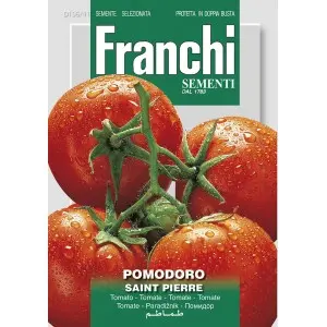 Seminte tomate Saint Pierre Franchi Sementi