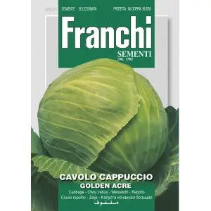 Seminte varza alba Golden Acre Franchi Sementi