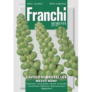 Seminte varza de Bruxelles Mezzo Nano Franchi Sementi