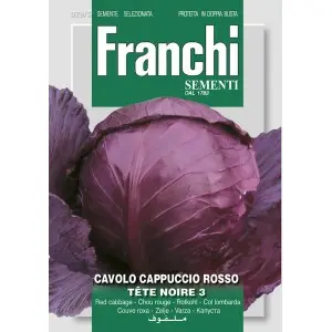 Seminte varza rosie Tete Noire 3 Franchi Sementi