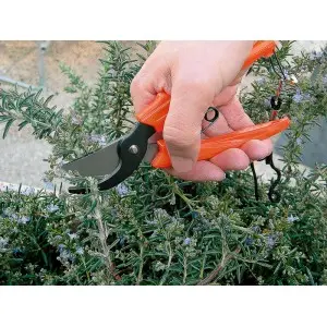 Foarfeca profesionala pentru flori, 17 cm