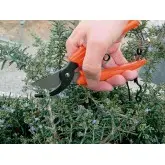 Foarfeca profesionala pentru flori, 17 cm