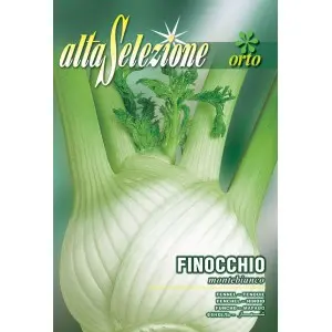 Seminte fenicul Montebianco Alta Selezione