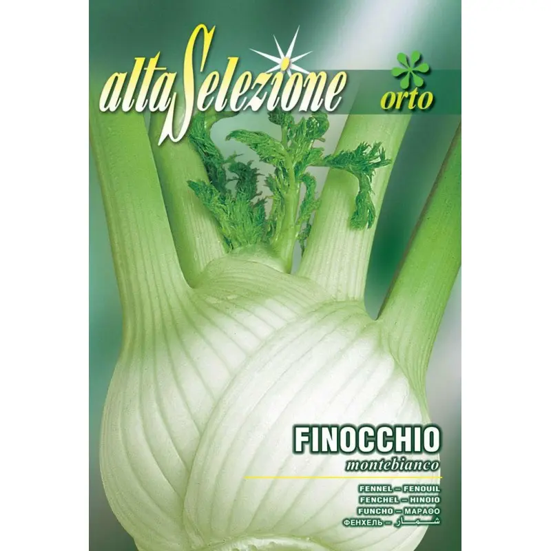 Seminte fenicul Montebianco Alta Selezione