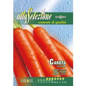 Seminte morcovi Berlicum Alta Selezione