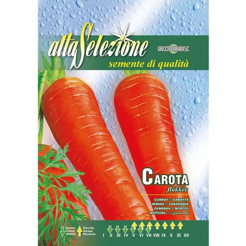 Seminte morcovi Flakkee Alta Selezione