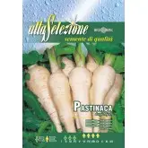 Seminte pastarnac Dugi Bijeli Alta Selezione