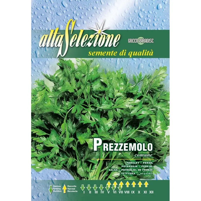 Seminte patrunjel de frunze Comune 2 Alta Selezione