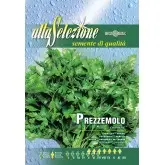 Seminte patrunjel de frunze Comune 2 Alta Selezione