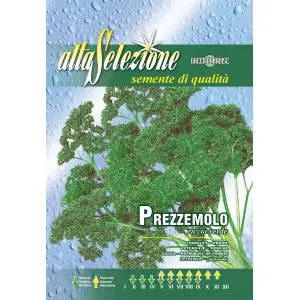 Seminte patrunjel de frunze Riccio Verde Alta Selezione