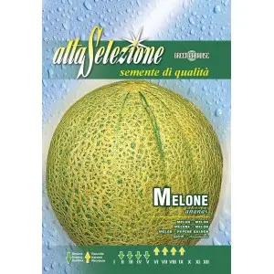 Seminte pepene galben Ananas Alta Selezione