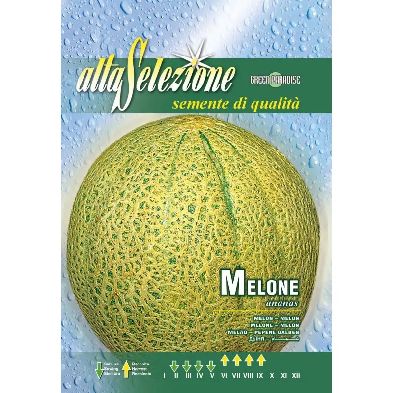 Seminte pepene galben Ananas Alta Selezione