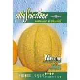 Seminte pepene galben Retato Degli Ortolani Alta Selezione
