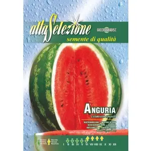 Seminte pepene verde Crimson Sweet Alta Selezione