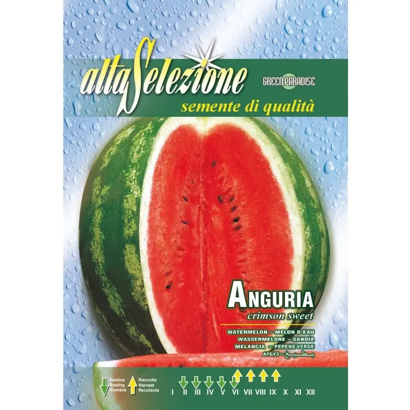 Seminte pepene verde Crimson Sweet Alta Selezione