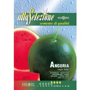 Seminte pepene verde Sugar Baby Alta Selezione
