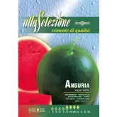 Seminte pepene verde Sugar Baby Alta Selezione
