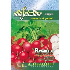 Seminte ridichi de luna Rapid Red 2 Sel. Sanova Alta Selezione