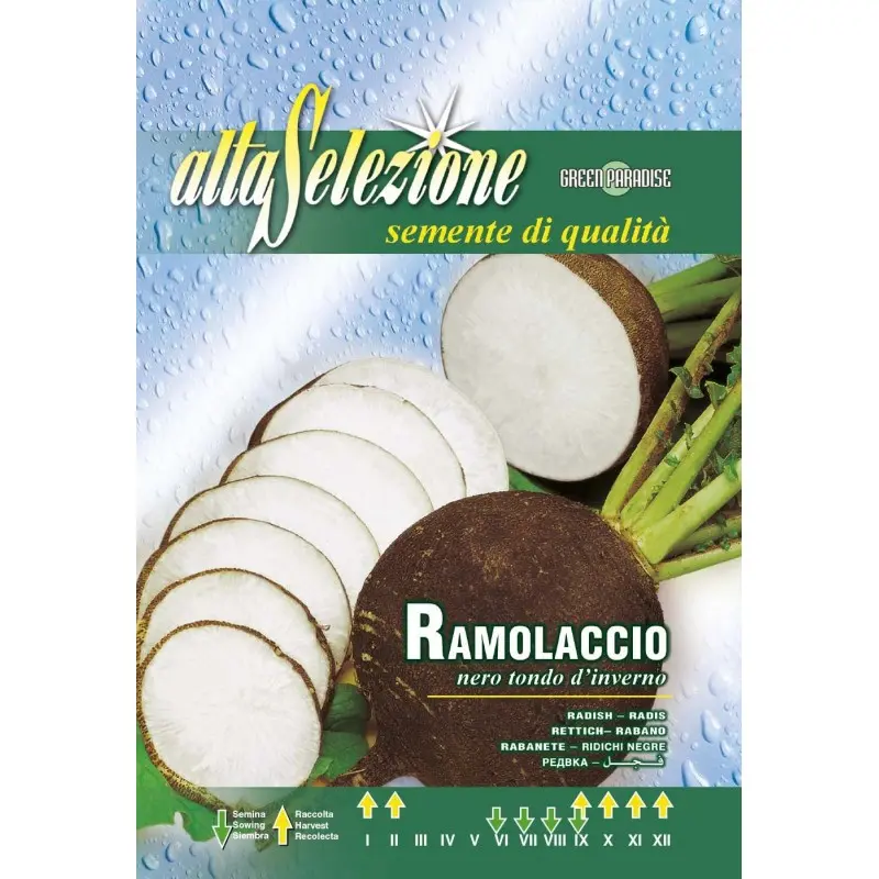 Seminte ridichi negre Nero Tondo D'Inverno Alta Selezione