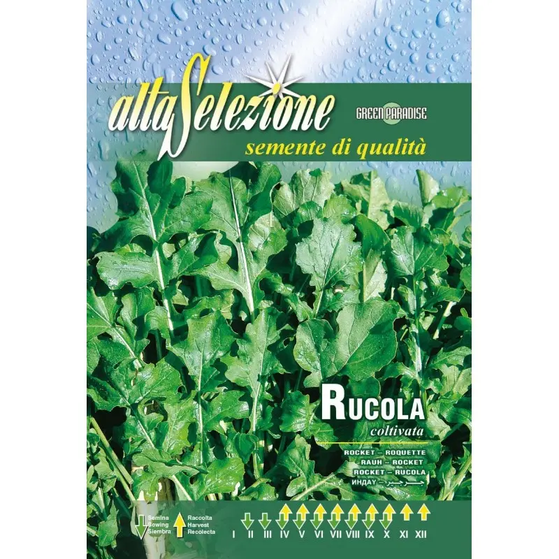 Seminte rucola Coltivata Alta Selezione