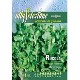 Seminte rucola Coltivata Alta Selezione