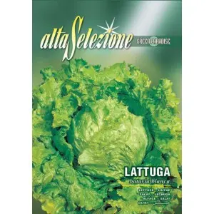 Seminte salata Batavia Blanca Alta Selezione