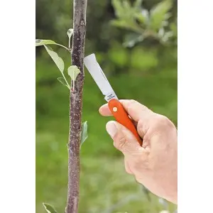 Cutit briceag pentru altoit cu lama de 50 mm