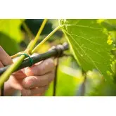 Fir plastificat pentru legat Stofix, rola