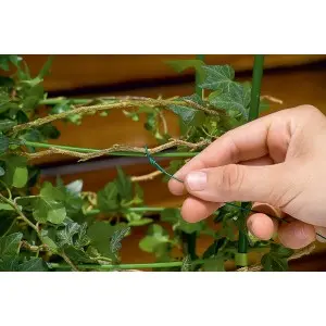 Fir zincat plastificat pentru legat