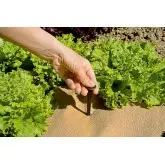 Cui de plastic pentru fixare folie