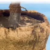 Captuseala Protec antiinghet