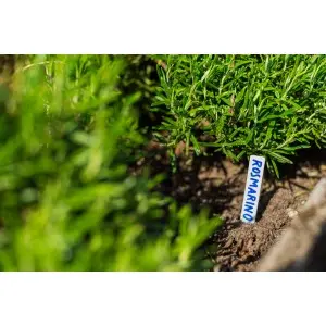 Etichete plante 10.3 x h 1.3 cm, set 20 buc