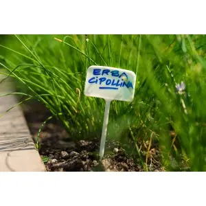 Etichete plante 6 x h 34 cm, set 10 buc
