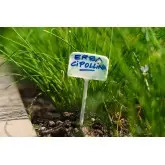 Etichete plante 6 x h 34 cm, set 10 buc