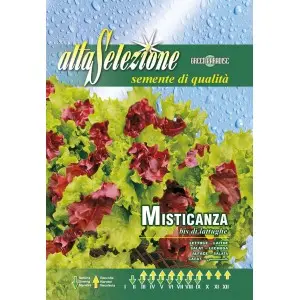 Seminte salata de frunze amestec de taiat Alta Selezione