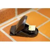 Capcana pentru soareci, set 2 buc