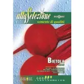 Seminte sfecla rosie Detroit Alta Selezione