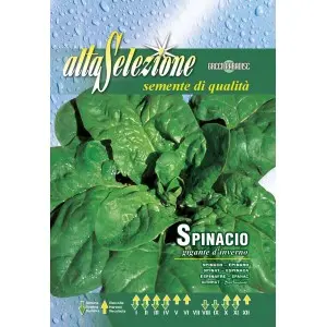 Seminte spanac Gigante D'Inverno Alta Selezione