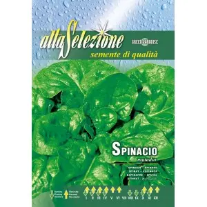Seminte spanac Matador Alta Selezione