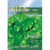 Seminte spanac Matador Alta Selezione