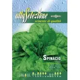 Seminte spanac Viking Alta Selezione