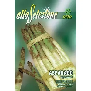 Seminte sparanghel Argenteuil Alta Selezione