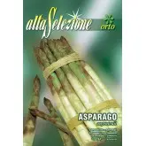 Seminte sparanghel Argenteuil Alta Selezione