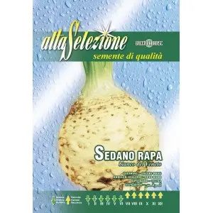 Seminte telina de radacina Bianco del Veneto Alta Selezione